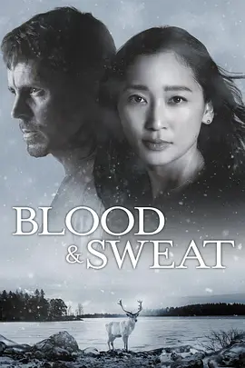 血与汗 BLOOD & SWEAT