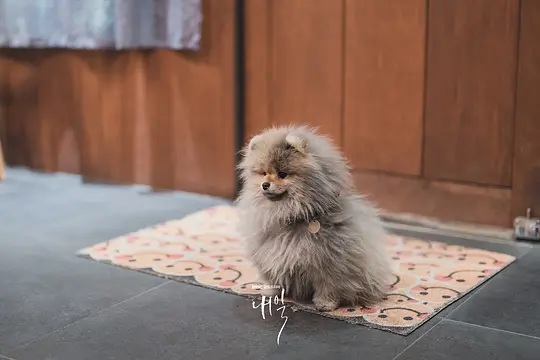电影剧照